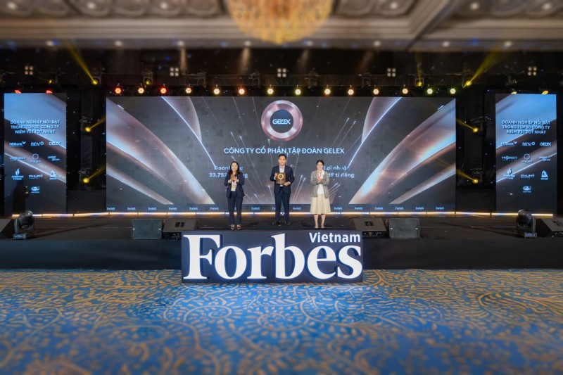 GELEX trở lại ấn tượng trong TOP 50 Công ty Niêm yết tốt nhất Việt Nam  Đại diện Tập đoàn GELEX nhận chứng nhận TOP 50 Công ty niêm yết tốt nhất Việt Nam.