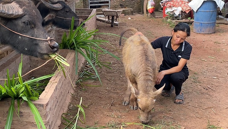 Già làng, trưởng bản, người có uy tín phát huy vai trò nòng cốt trong giảm nghèo