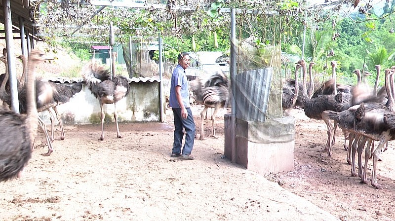 Tuyên truyền - đòn bẩy thay đổi nhận thức người dân vùng biên