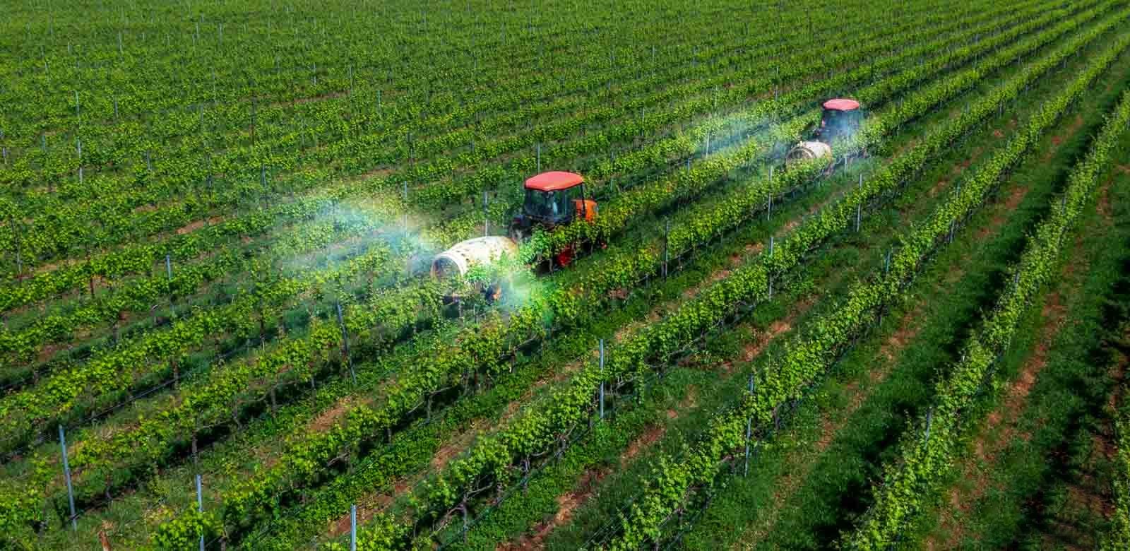 Bài 5: Tăng cường thế nước – củng cố lòng dân: Giải pháp ở tầm chiến lược Bài 5: Tăng cường thế nước – củng cố lòng dân: Giải pháp ở tầm chiến lược