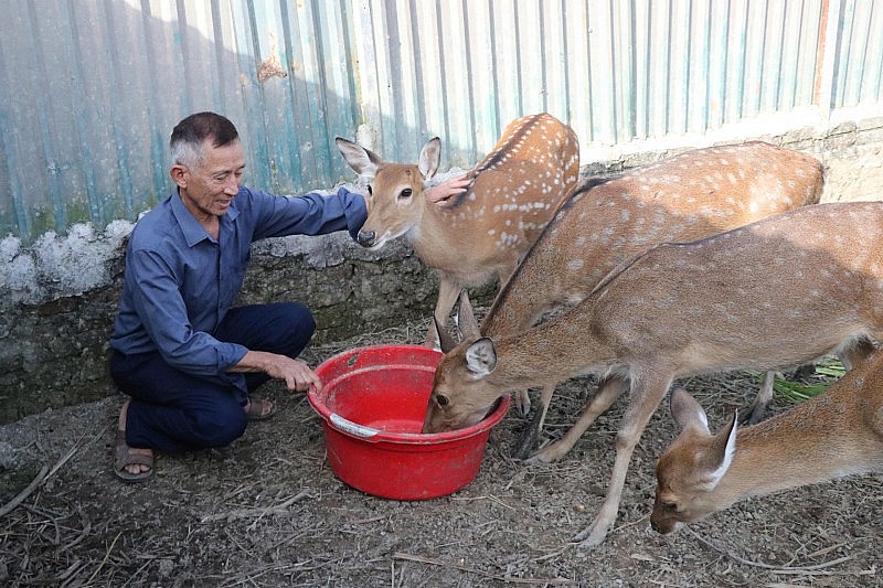 Chương trình mục tiêu quốc gia giúp Sam Mứn giảm nghèo bền vững