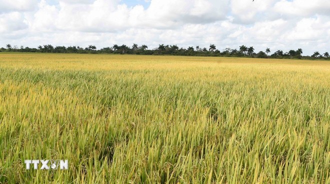 Đại sứ Cuba: Việt Nam tạo tiền đề vững chắc bước vào kỷ nguyên vươn mình