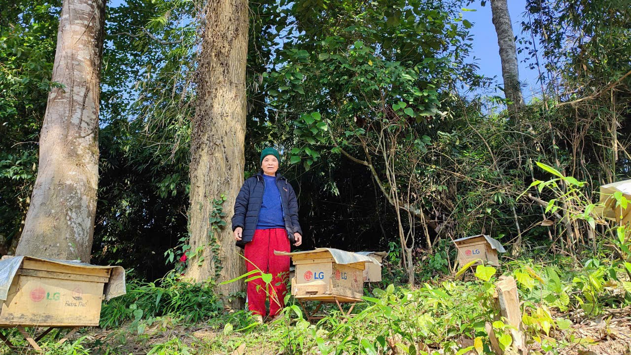 WVIV thúc đẩy nông nghiệp tái sinh, nâng cao sinh kế cộng đồng tại Thanh Hóa