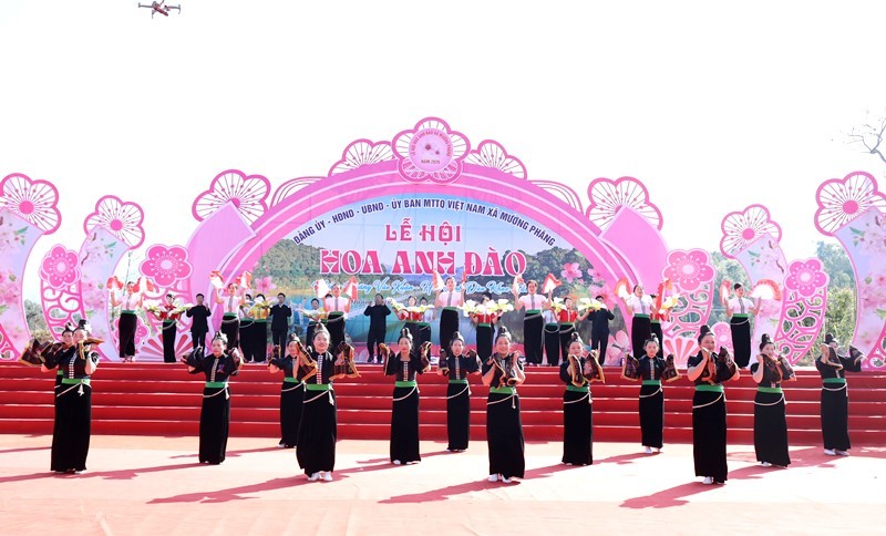 Nhiều hoạt động phong phú tại Lễ hội Hoa Anh Đào xã Mường Phăng (Điện Biên) Nhiều hoạt động phong phú tại Lễ hội Hoa Anh Đào xã Mường Phăng (Điện Biên)