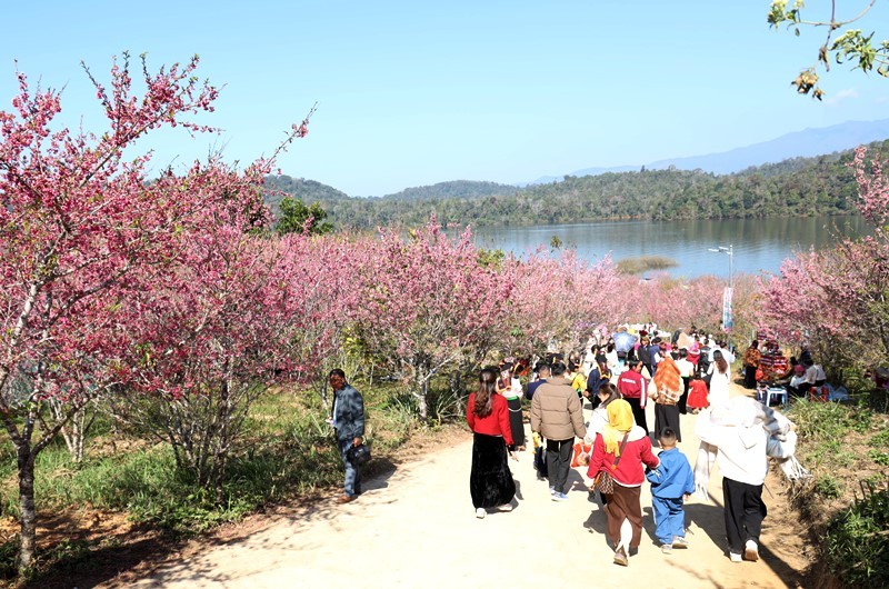 (Ảnh: Lan Phương/dienbien.gov.vn) (Ảnh: Lan Phương/dienbien.gov.vn)