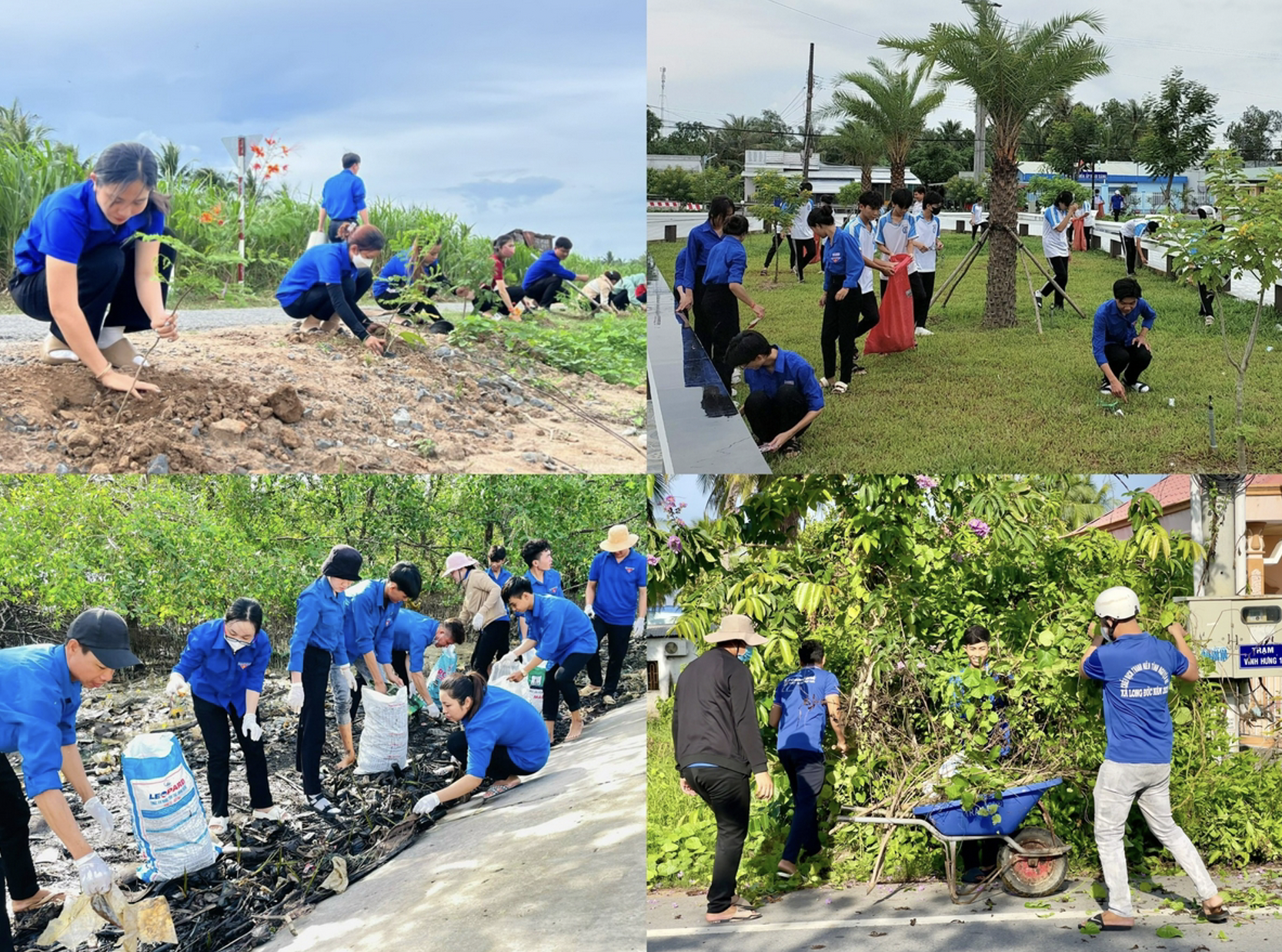 Ảnh minh hoạ. (Nguồn: Internet)