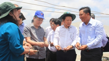 chu tich hoi nong dan viet nam luong quoc doan phat huy vai tro suc sang tao cua nong dan trong ky nguyen moi dat nuoc