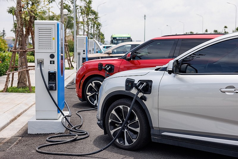 Băng rừng, vượt núi, chạy trăm nghìn km, pin xe điện VinFast bền bỉ vượt kỳ vọng người dùng