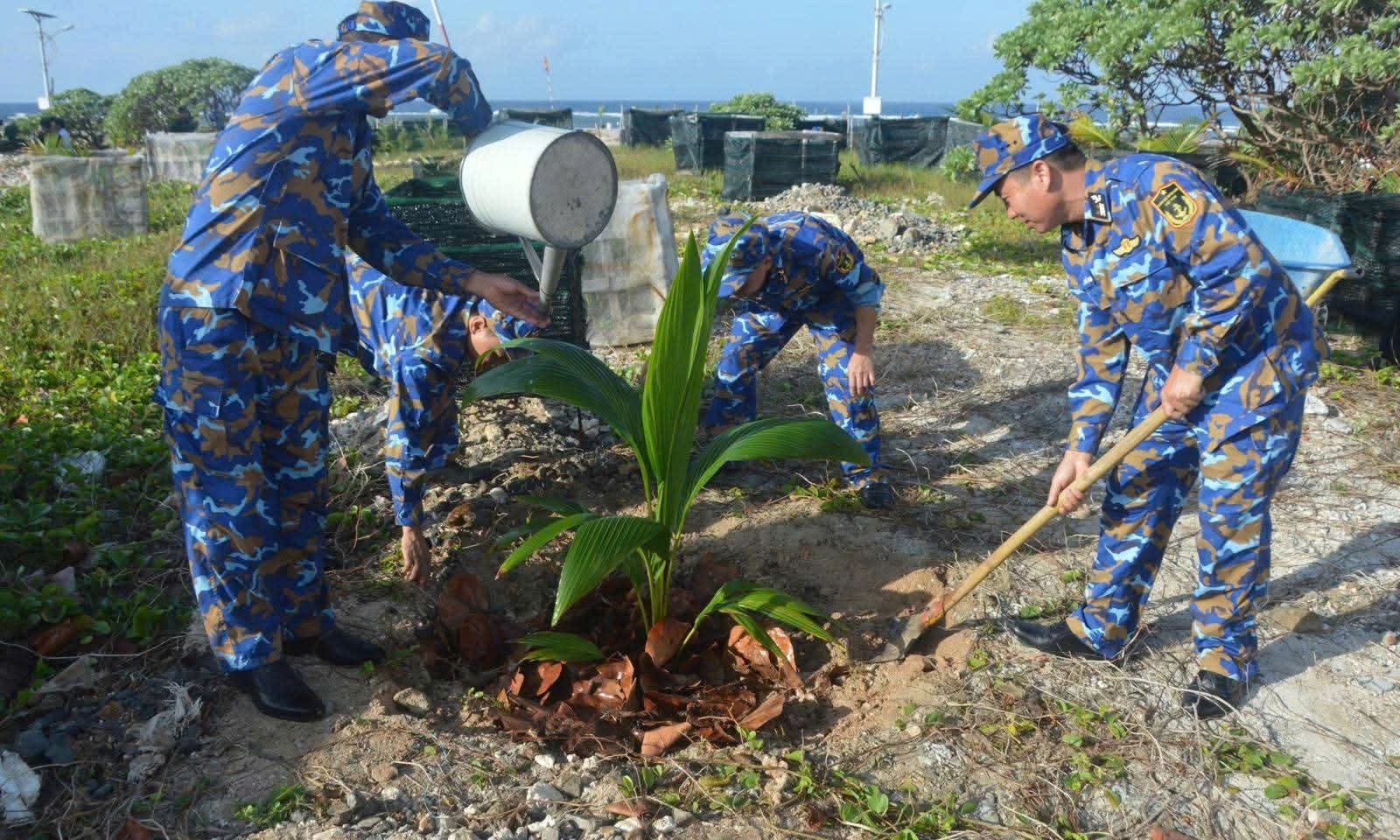 Năm 2025: trồng hơn 200.000 cây xanh trên quần đảo Trường Sa