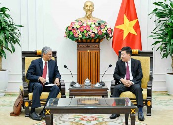 thuc day hop tac sau rong nhan ky niem 10 nam doi tac chien luoc toan dien viet nam an do