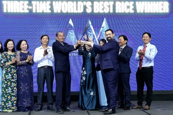 Gạo Ông Cua ST25 của Việt Nam nhận cúp “Gạo ngon nhất thế giới năm 2025”