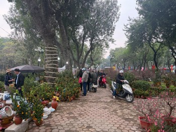 Thời tiết dịp Tết Nguyên đán Bính Ngọ 2026