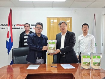 viet nam ban giao 250 tan gao cho cuba