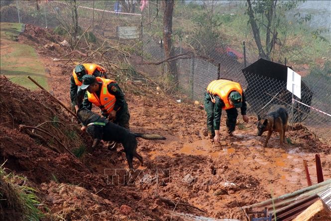 an Chỉ đạo Phòng thủ dân sự Quốc gia đề nghị Ủy ban nhân dân các tỉnh, thành phố tổ chức theo dõi chặt chẽ diễn biến thời tiết, thiên tai. (Ảnh minh họa)