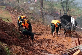 Chủ động ứng phó thiên tai có thể xảy ra dịp Tết