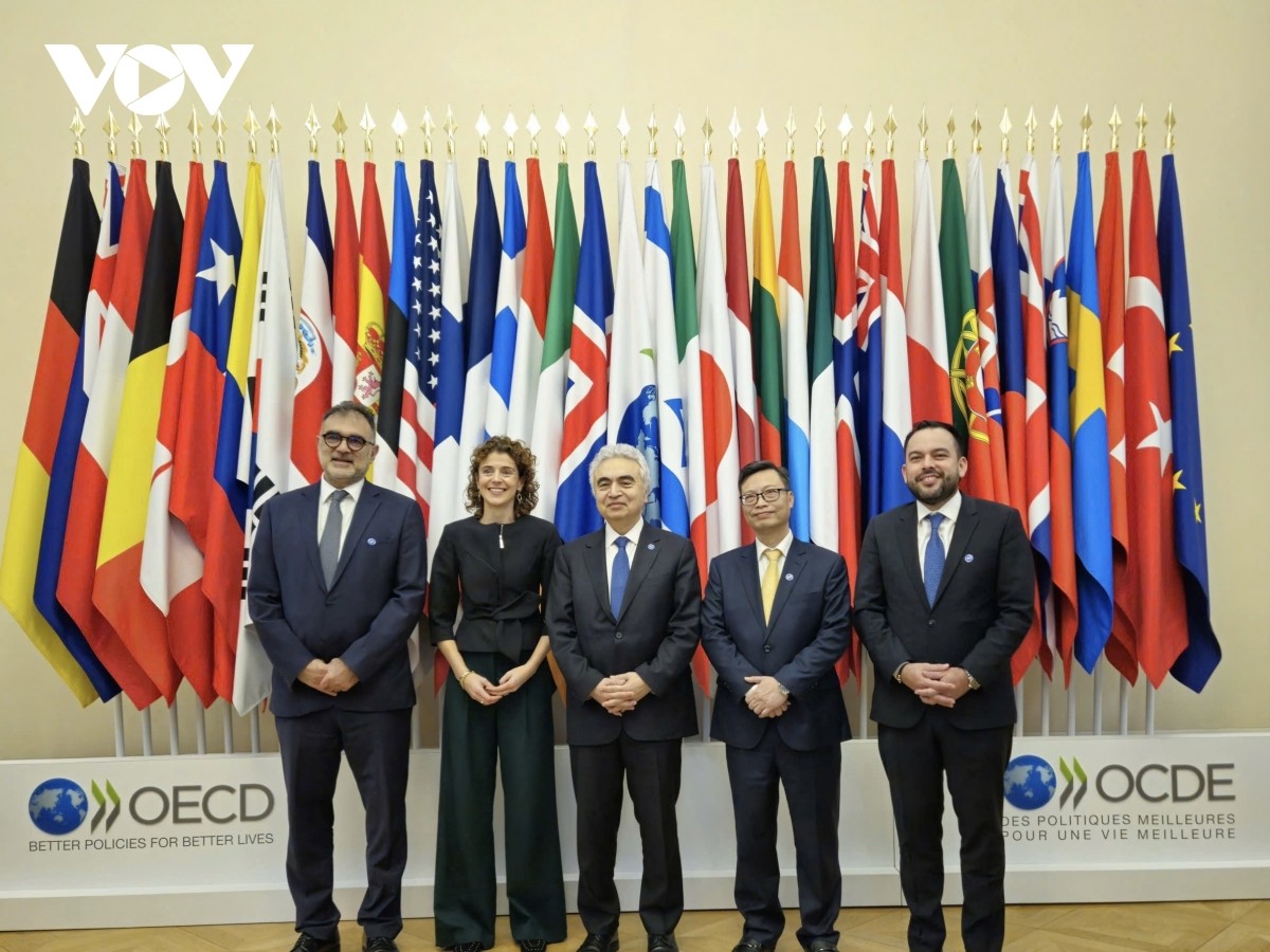 Tiến sĩ Fatih Birol (giữa), Giám đốc điều hành IEA, khẳng định các nước thành viên đánh giá cao sự hợp tác ngày càng sâu sắc với Việt Nam
