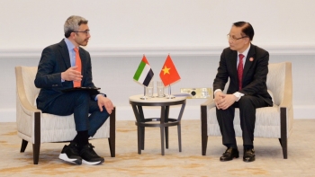 Việt Nam phối hợp các nước tái thiết Dải Gaza trong khuôn khổ Hội đồng Hoà bình