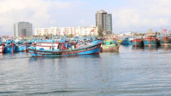 Ngư dân hứng khởi ra khơi đầu Xuân