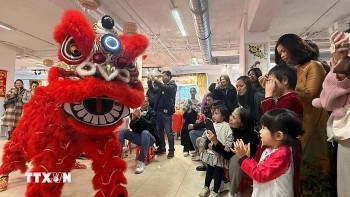 nguoi viet tai phap ron rang voi cho xuan binh ngo 2026