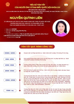 [Infographic] Bà Nguyễn Quỳnh Liên ứng cử đại biểu Quốc hội tại tỉnh An Giang