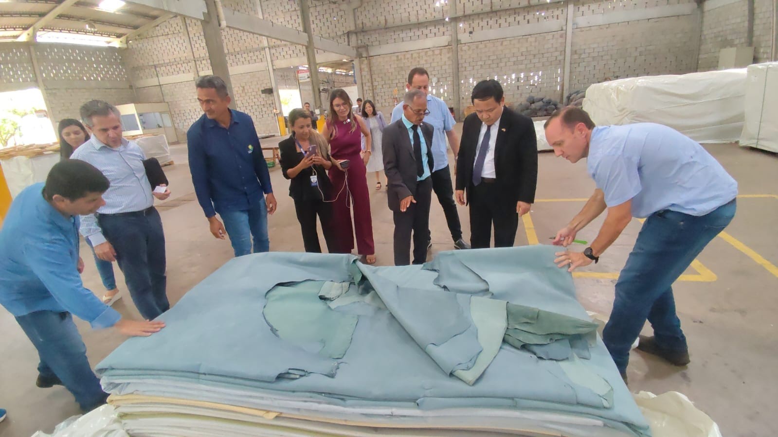 Thúc đẩy hợp tác nông nghiệp, năng lượng sinh học, logistics Việt Nam - Brazil