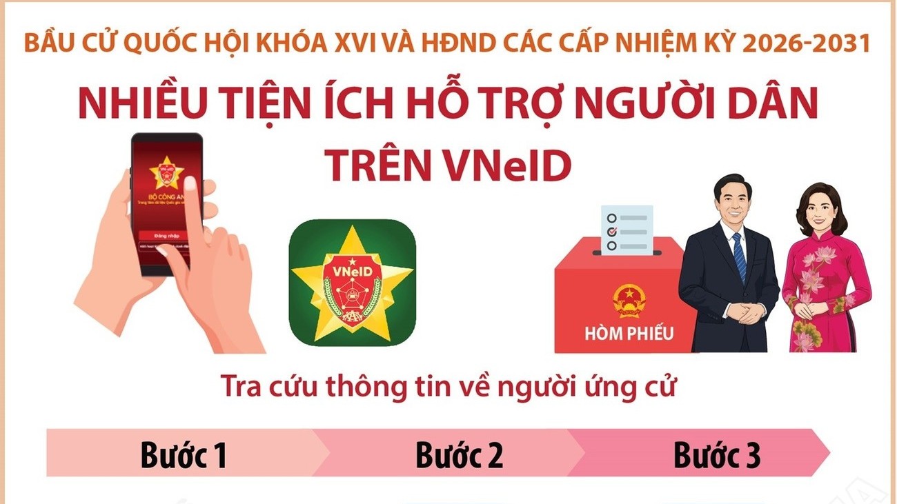 infographic bau cu quoc hoi va hdnd cach tra cuu thong tin ve nguoi ung cu tren vneid