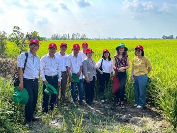 du an gorice do chinh phu canada vien tro nang cao phuc loi cho nong dan san xuat lua gao tai 7 xa o can tho