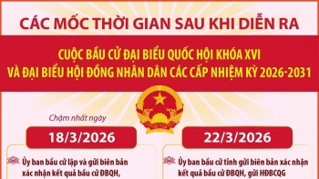 [Infographic] Các mốc thời gian sau cuộc bầu cử Đại biểu Quốc hội khóa XVI và đại biểu HĐND các cấp