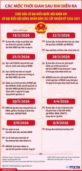 [Infographic] Các mốc thời gian sau cuộc bầu cử Đại biểu Quốc hội khóa XVI và đại biểu HĐND các cấp