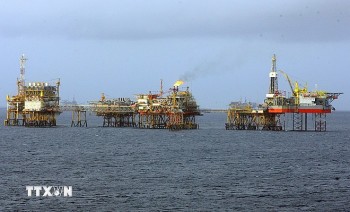 Việt Nam-Nga: Mở rộng dư địa, nâng tầm hợp tác thương mại