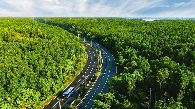 Cung đường chạy “chạm biển - xuyên rừng” đẹp nhất Việt Nam và đặc quyền sống welless tại Vinhomes Green Paradise Cung đường chạy “chạm biển - xuyên rừng” đẹp nhất Việt Nam và đặc quyền sống welless tại Vinhomes Green Paradise