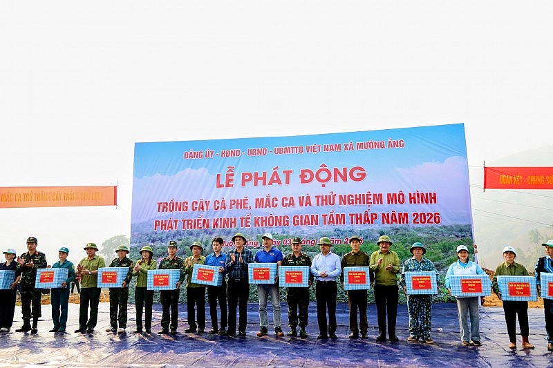 Điện Biên phát động trồng mới cây cà phê, mắc ca tại 42 xã, phường