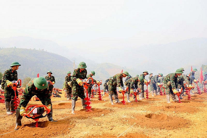 Điện Biên phát động trồng mới cây cà phê, mắc ca tại 42 xã, phường