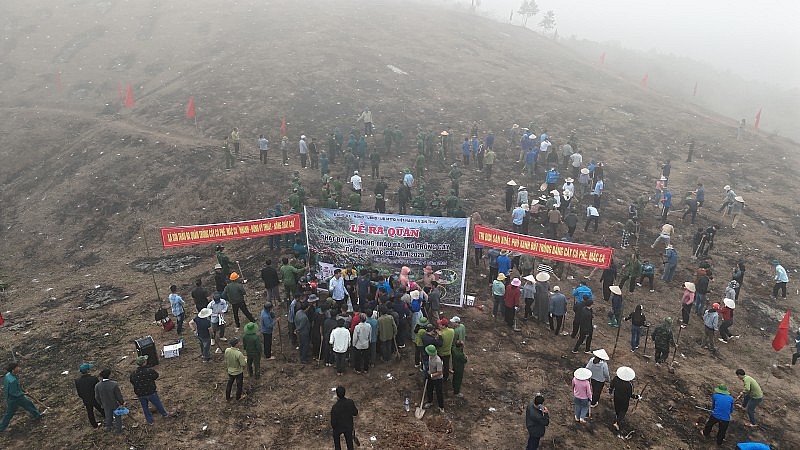 Điện Biên phát động trồng mới cây cà phê, mắc ca tại 42 xã, phường