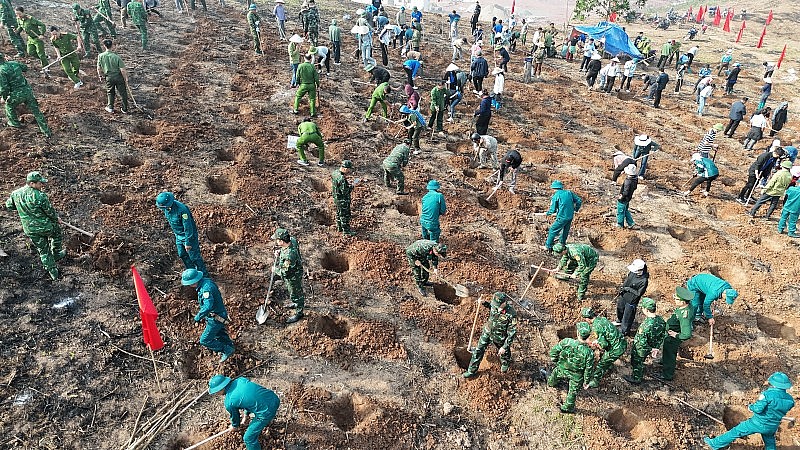 Điện Biên phát động trồng mới cây cà phê, mắc ca tại 42 xã, phường