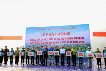 dien bien phat dong trong moi cay ca phe mac ca tai 42 xa phuong