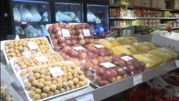 huy dong nguoi viet nam o nuoc ngoai dua hang viet ra thi truong quoc te