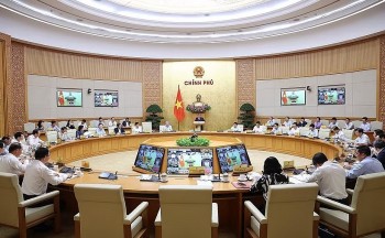 viet nam lam chu nguon cung xang dau ung pho hieu qua bien dong nang luong toan cau