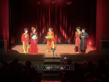 hinh anh viet nam noi bat tai le dieu hanh carnaval chateaudun 2026 phap