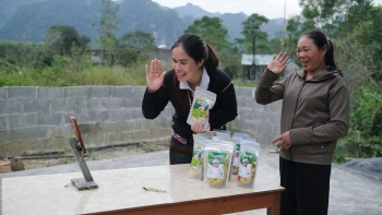 Giữ đất bằng măng: Sinh kế mới của phụ nữ Bru Vân Kiều ở Quảng Trị