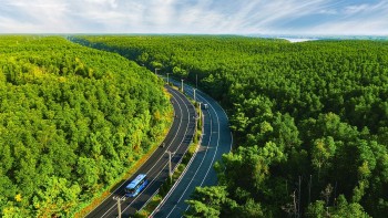 5000 runners dem nguoc toi ngay detox phoi tai mo oxy khong lo cua tphcm