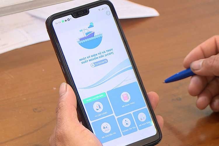 Nhật ký khai thác điện tử: Bước tiến trong hiện đại hóa nghề cá tại Thành phố Hồ Chí Minh