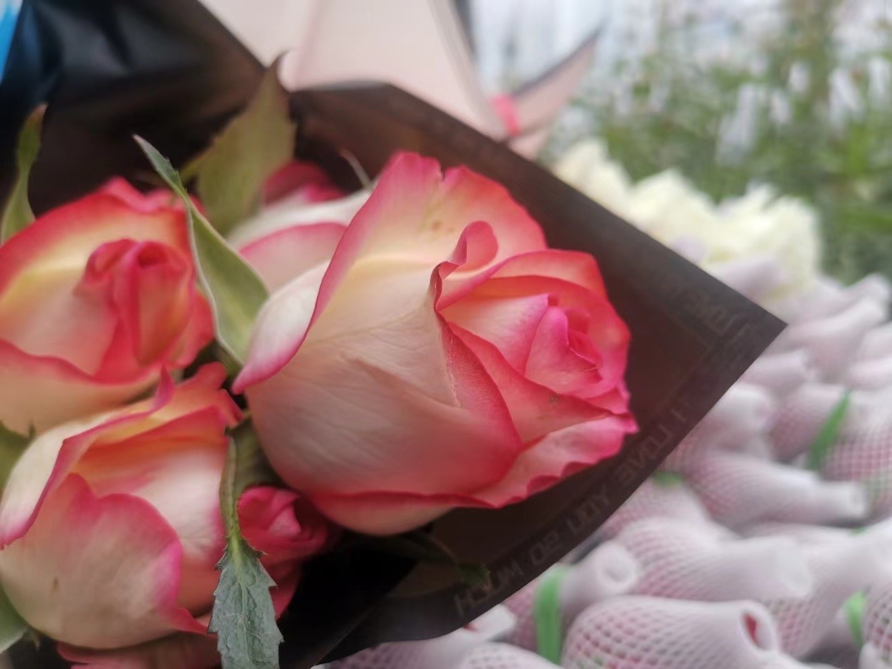 Liêu Trung: biến hoa hồng thành “mỏ vàng” trăm triệu NDT