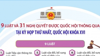 infographic 9 luat va 31 nghi quyet duoc thong qua tai ky hop thu nhat quoc hoi khoa xvi