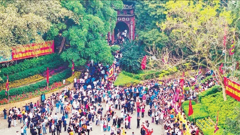 Như cây một cội, như con một nhà