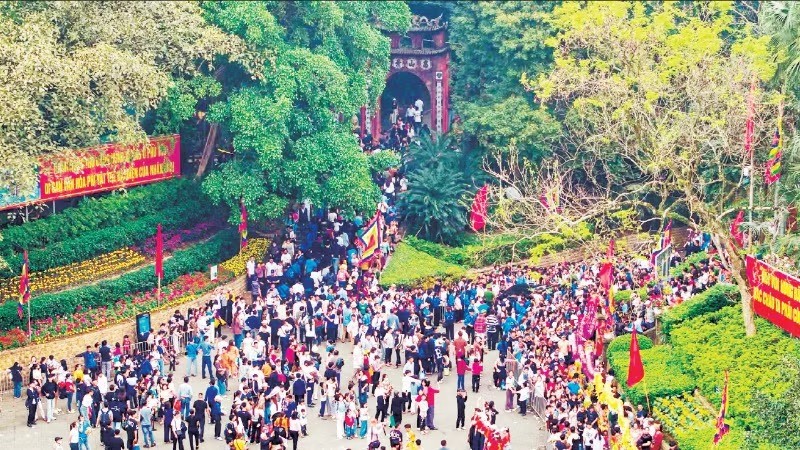 Như cây một cội, như con một nhà