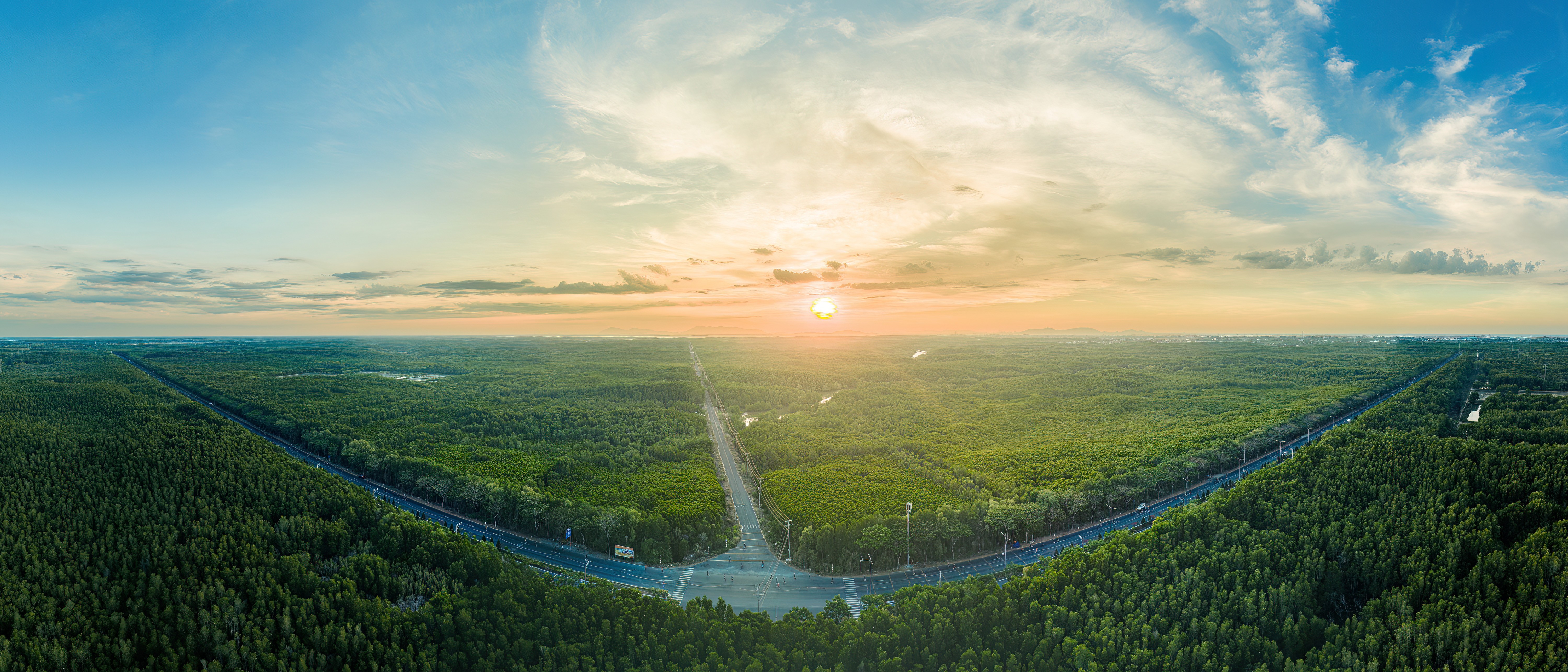 Cần Giờ lột xác thần tốc, đẹp mê hoặc trong ngày tranh tài VnExpress Marathon Green Paradise 2026