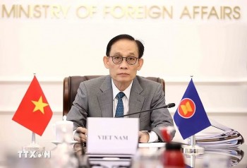 viet nam cam ket dong gop tich cuc cho hoi nghi cap cao ky niem asean nga
