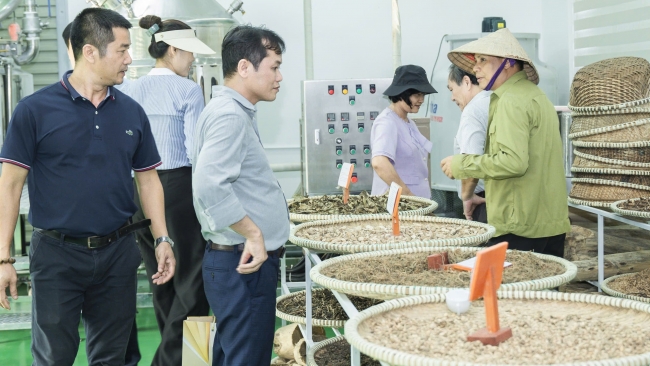 GENECELL triển khai đề tài chiết xuất hoạt chất dược liệu phục vụ sản xuất mỹ phẩm