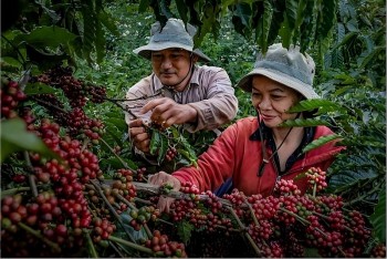 Buôn Ma Thuột vào top điểm đến ẩm thực thế giới năm 2026